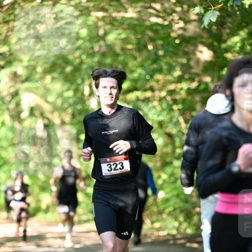 06.10.2024 - Bramfelder Halbmarathon 2024 Dr. Thomas Lammeyer http://msf.ph/oto/7340551 06.10.2024 10:44:21 Laufen 323 meine-sportfotos.de