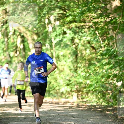06.10.2024 - Bramfelder Halbmarathon 2024 Dr. Thomas Lammeyer http://msf.ph/oto/7340618 06.10.2024 10:45:14 Laufen 562 meine-sportfotos.de