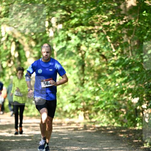 06.10.2024 - Bramfelder Halbmarathon 2024 Dr. Thomas Lammeyer http://msf.ph/oto/7340622 06.10.2024 10:45:14 Laufen 56 meine-sportfotos.de