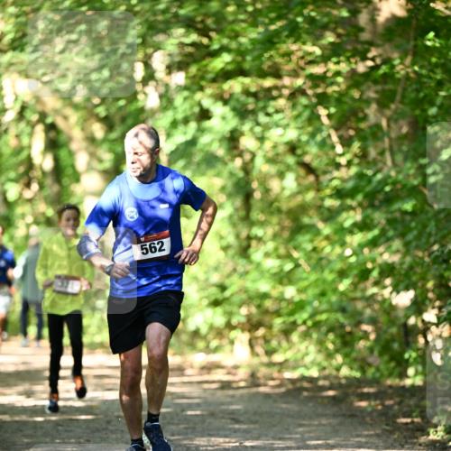 06.10.2024 - Bramfelder Halbmarathon 2024 Dr. Thomas Lammeyer http://msf.ph/oto/7340624 06.10.2024 10:45:14 Laufen 562 meine-sportfotos.de