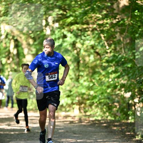 06.10.2024 - Bramfelder Halbmarathon 2024 Dr. Thomas Lammeyer http://msf.ph/oto/7340625 06.10.2024 10:45:15 Laufen 562 meine-sportfotos.de