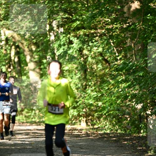 06.10.2024 - Bramfelder Halbmarathon 2024 Dr. Thomas Lammeyer http://msf.ph/oto/7340636 06.10.2024 10:45:18 Laufen 207 meine-sportfotos.de