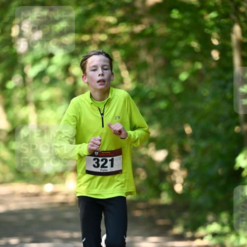 06.10.2024 - Bramfelder Halbmarathon 2024 Dr. Thomas Lammeyer http://msf.ph/oto/7340646 06.10.2024 10:45:19 Laufen 321 meine-sportfotos.de