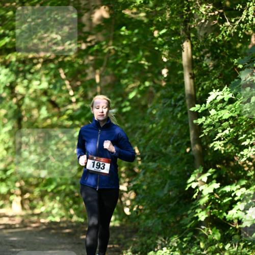 06.10.2024 - Bramfelder Halbmarathon 2024 Dr. Thomas Lammeyer http://msf.ph/oto/7340665 06.10.2024 10:45:49 Laufen 193 meine-sportfotos.de