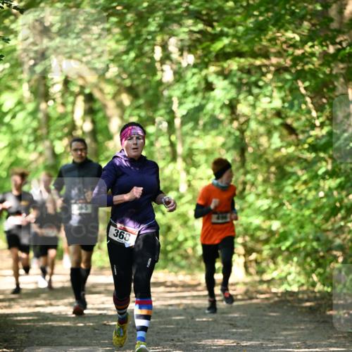 06.10.2024 - Bramfelder Halbmarathon 2024 Dr. Thomas Lammeyer http://msf.ph/oto/7340696 06.10.2024 10:45:57 Laufen 368 meine-sportfotos.de