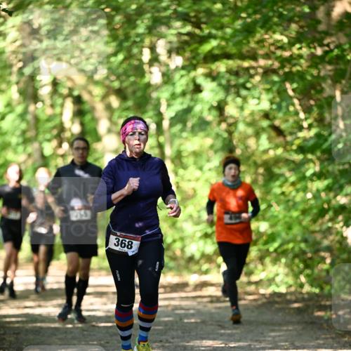 06.10.2024 - Bramfelder Halbmarathon 2024 Dr. Thomas Lammeyer http://msf.ph/oto/7340700 06.10.2024 10:45:57 Laufen 368 meine-sportfotos.de
