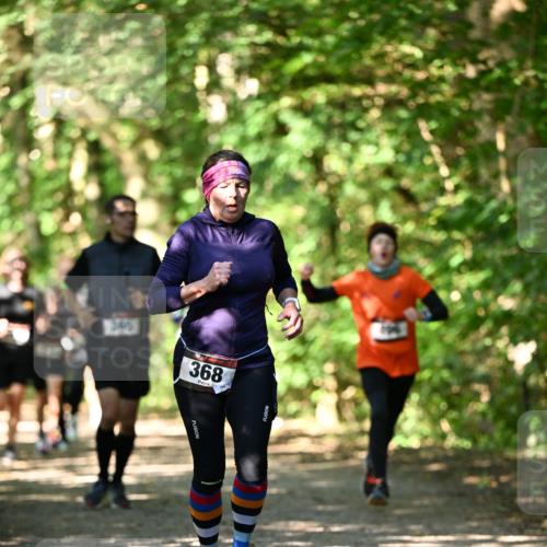 06.10.2024 - Bramfelder Halbmarathon 2024 Dr. Thomas Lammeyer http://msf.ph/oto/7340705 06.10.2024 10:45:58 Laufen 368 meine-sportfotos.de