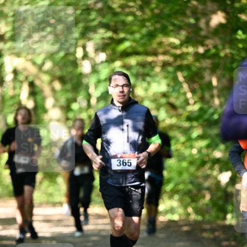 06.10.2024 - Bramfelder Halbmarathon 2024 Dr. Thomas Lammeyer http://msf.ph/oto/7340719 06.10.2024 10:46:01 Laufen 365 meine-sportfotos.de