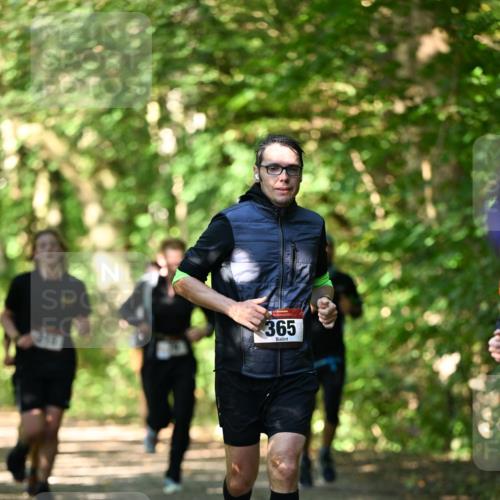 06.10.2024 - Bramfelder Halbmarathon 2024 Dr. Thomas Lammeyer http://msf.ph/oto/7340721 06.10.2024 10:46:01 Laufen 365 meine-sportfotos.de