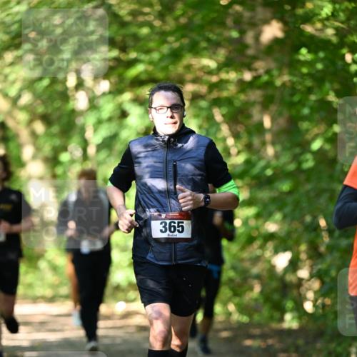 06.10.2024 - Bramfelder Halbmarathon 2024 Dr. Thomas Lammeyer http://msf.ph/oto/7340723 06.10.2024 10:46:01 Laufen 365 meine-sportfotos.de