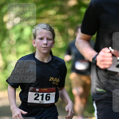 06.10.2024 - Bramfelder Halbmarathon 2024 Dr. Thomas Lammeyer http://msf.ph/oto/7340745 06.10.2024 10:46:07 Laufen 216 meine-sportfotos.de
