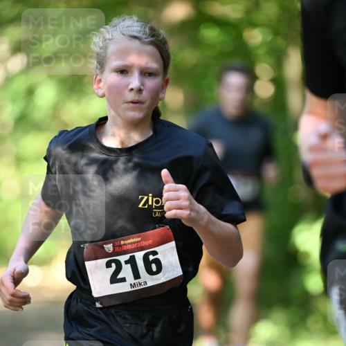 06.10.2024 - Bramfelder Halbmarathon 2024 Dr. Thomas Lammeyer http://msf.ph/oto/7340747 06.10.2024 10:46:07 Laufen 33, 216 meine-sportfotos.de