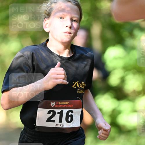 06.10.2024 - Bramfelder Halbmarathon 2024 Dr. Thomas Lammeyer http://msf.ph/oto/7340749 06.10.2024 10:46:07 Laufen 33, 216 meine-sportfotos.de