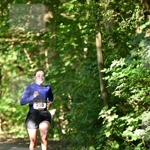 06.10.2024 - Bramfelder Halbmarathon 2024 Dr. Thomas Lammeyer http://msf.ph/oto/7340756 06.10.2024 10:46:13 Laufen 255 meine-sportfotos.de