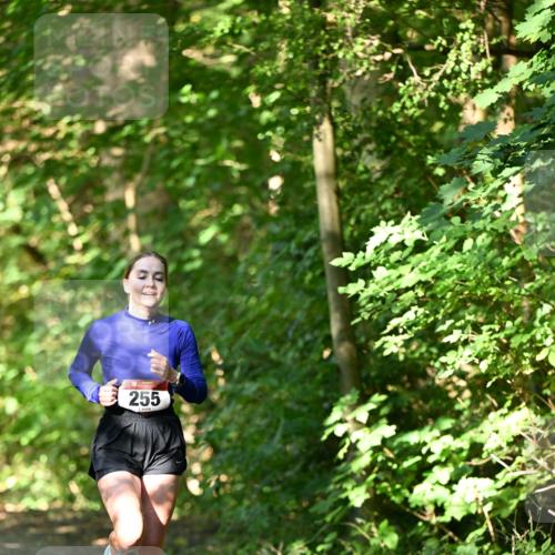 06.10.2024 - Bramfelder Halbmarathon 2024 Dr. Thomas Lammeyer http://msf.ph/oto/7340758 06.10.2024 10:46:14 Laufen 255 meine-sportfotos.de