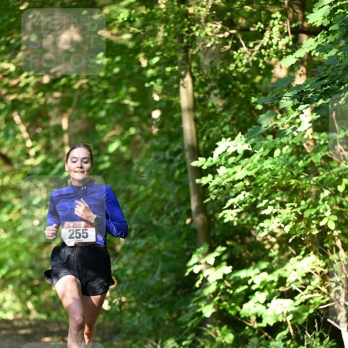 06.10.2024 - Bramfelder Halbmarathon 2024 Dr. Thomas Lammeyer http://msf.ph/oto/7340759 06.10.2024 10:46:14 Laufen 255 meine-sportfotos.de
