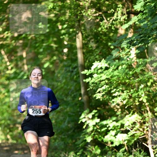 06.10.2024 - Bramfelder Halbmarathon 2024 Dr. Thomas Lammeyer http://msf.ph/oto/7340760 06.10.2024 10:46:14 Laufen 255 meine-sportfotos.de