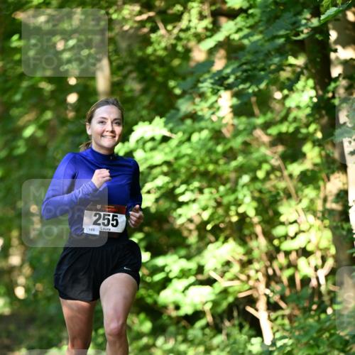 06.10.2024 - Bramfelder Halbmarathon 2024 Dr. Thomas Lammeyer http://msf.ph/oto/7340766 06.10.2024 10:46:15 Laufen 255, 165 meine-sportfotos.de