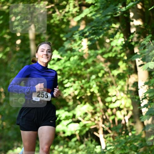 06.10.2024 - Bramfelder Halbmarathon 2024 Dr. Thomas Lammeyer http://msf.ph/oto/7340767 06.10.2024 10:46:15 Laufen 255 meine-sportfotos.de