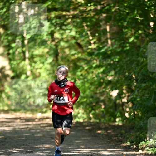 06.10.2024 - Bramfelder Halbmarathon 2024 Dr. Thomas Lammeyer http://msf.ph/oto/7340791 06.10.2024 10:46:24 Laufen 464 meine-sportfotos.de