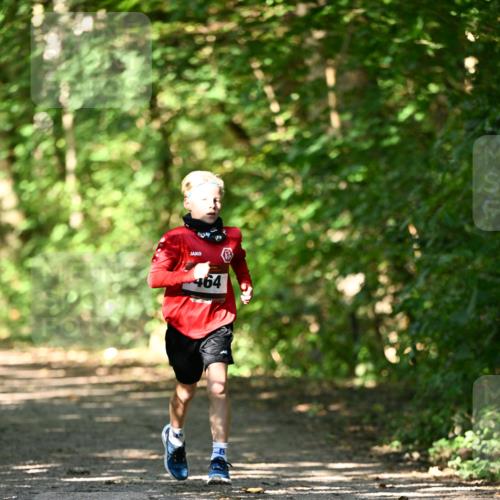 06.10.2024 - Bramfelder Halbmarathon 2024 Dr. Thomas Lammeyer http://msf.ph/oto/7340792 06.10.2024 10:46:24 Laufen 464 meine-sportfotos.de