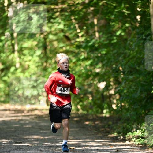 06.10.2024 - Bramfelder Halbmarathon 2024 Dr. Thomas Lammeyer http://msf.ph/oto/7340793 06.10.2024 10:46:24 Laufen 464 meine-sportfotos.de