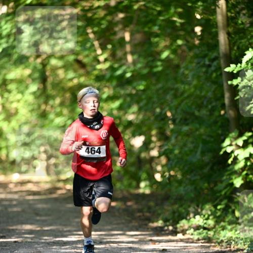 06.10.2024 - Bramfelder Halbmarathon 2024 Dr. Thomas Lammeyer http://msf.ph/oto/7340796 06.10.2024 10:46:24 Laufen 464 meine-sportfotos.de