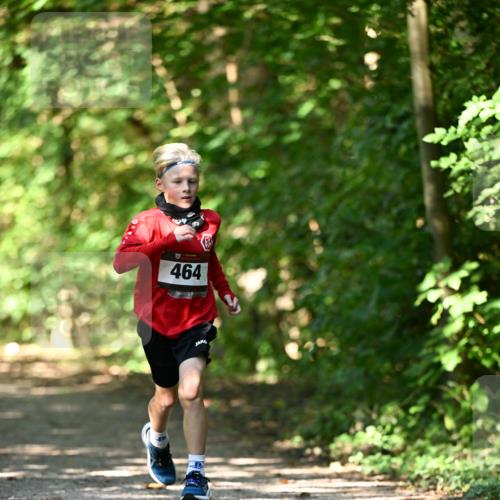 06.10.2024 - Bramfelder Halbmarathon 2024 Dr. Thomas Lammeyer http://msf.ph/oto/7340797 06.10.2024 10:46:25 Laufen 464 meine-sportfotos.de