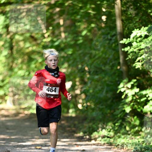 06.10.2024 - Bramfelder Halbmarathon 2024 Dr. Thomas Lammeyer http://msf.ph/oto/7340798 06.10.2024 10:46:25 Laufen 464 meine-sportfotos.de