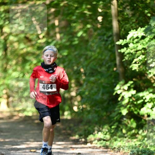 06.10.2024 - Bramfelder Halbmarathon 2024 Dr. Thomas Lammeyer http://msf.ph/oto/7340799 06.10.2024 10:46:25 Laufen 464 meine-sportfotos.de