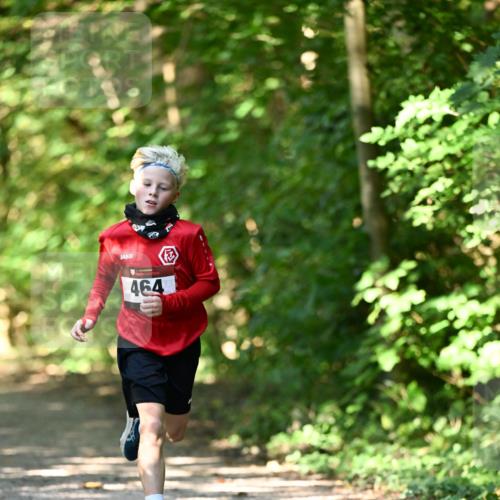 06.10.2024 - Bramfelder Halbmarathon 2024 Dr. Thomas Lammeyer http://msf.ph/oto/7340800 06.10.2024 10:46:25 Laufen 33, 464 meine-sportfotos.de