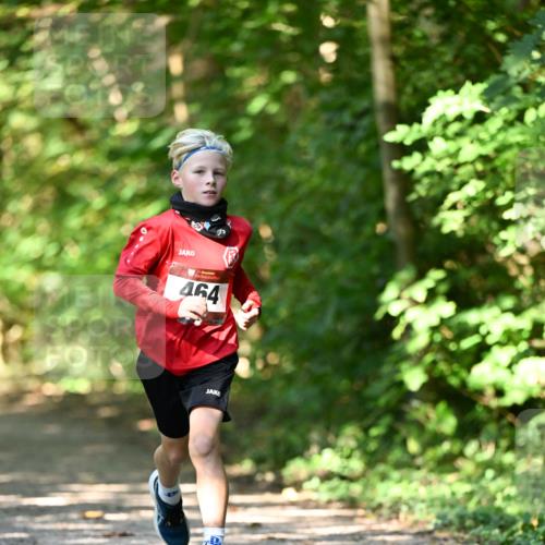 06.10.2024 - Bramfelder Halbmarathon 2024 Dr. Thomas Lammeyer http://msf.ph/oto/7340802 06.10.2024 10:46:25 Laufen 464 meine-sportfotos.de