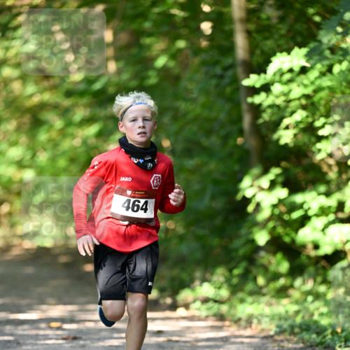06.10.2024 - Bramfelder Halbmarathon 2024 Dr. Thomas Lammeyer http://msf.ph/oto/7340803 06.10.2024 10:46:25 Laufen 464 meine-sportfotos.de
