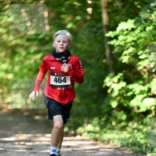 06.10.2024 - Bramfelder Halbmarathon 2024 Dr. Thomas Lammeyer http://msf.ph/oto/7340804 06.10.2024 10:46:25 Laufen 464 meine-sportfotos.de