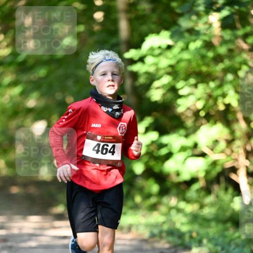 06.10.2024 - Bramfelder Halbmarathon 2024 Dr. Thomas Lammeyer http://msf.ph/oto/7340808 06.10.2024 10:46:26 Laufen 464 meine-sportfotos.de