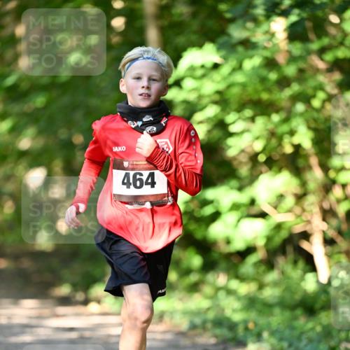 06.10.2024 - Bramfelder Halbmarathon 2024 Dr. Thomas Lammeyer http://msf.ph/oto/7340809 06.10.2024 10:46:26 Laufen 464 meine-sportfotos.de