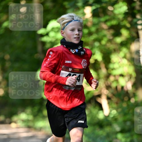 06.10.2024 - Bramfelder Halbmarathon 2024 Dr. Thomas Lammeyer http://msf.ph/oto/7340812 06.10.2024 10:46:27 Laufen 724 meine-sportfotos.de