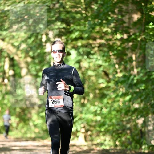 06.10.2024 - Bramfelder Halbmarathon 2024 Dr. Thomas Lammeyer http://msf.ph/oto/7340897 06.10.2024 10:46:48 Laufen 209, 266 meine-sportfotos.de