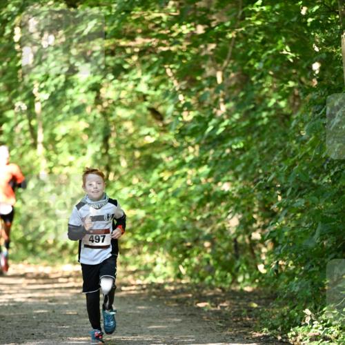 06.10.2024 - Bramfelder Halbmarathon 2024 Dr. Thomas Lammeyer http://msf.ph/oto/7340909 06.10.2024 10:46:59 Laufen 497 meine-sportfotos.de