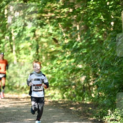 06.10.2024 - Bramfelder Halbmarathon 2024 Dr. Thomas Lammeyer http://msf.ph/oto/7340911 06.10.2024 10:46:59 Laufen 497 meine-sportfotos.de
