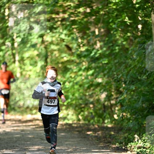 06.10.2024 - Bramfelder Halbmarathon 2024 Dr. Thomas Lammeyer http://msf.ph/oto/7340915 06.10.2024 10:46:59 Laufen 497 meine-sportfotos.de
