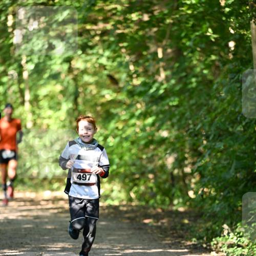 06.10.2024 - Bramfelder Halbmarathon 2024 Dr. Thomas Lammeyer http://msf.ph/oto/7340916 06.10.2024 10:47:00 Laufen 497 meine-sportfotos.de