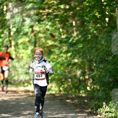 06.10.2024 - Bramfelder Halbmarathon 2024 Dr. Thomas Lammeyer http://msf.ph/oto/7340917 06.10.2024 10:47:00 Laufen 497 meine-sportfotos.de