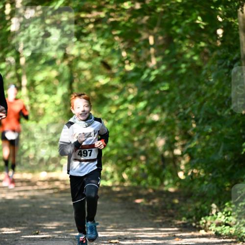 06.10.2024 - Bramfelder Halbmarathon 2024 Dr. Thomas Lammeyer http://msf.ph/oto/7340919 06.10.2024 10:47:00 Laufen 497 meine-sportfotos.de