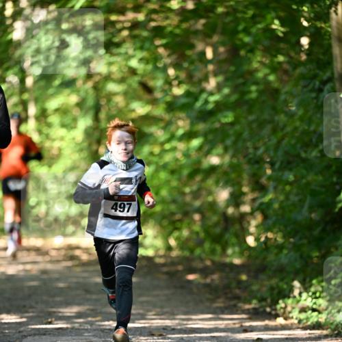 06.10.2024 - Bramfelder Halbmarathon 2024 Dr. Thomas Lammeyer http://msf.ph/oto/7340920 06.10.2024 10:47:00 Laufen 497 meine-sportfotos.de