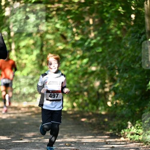 06.10.2024 - Bramfelder Halbmarathon 2024 Dr. Thomas Lammeyer http://msf.ph/oto/7340921 06.10.2024 10:47:00 Laufen 497 meine-sportfotos.de