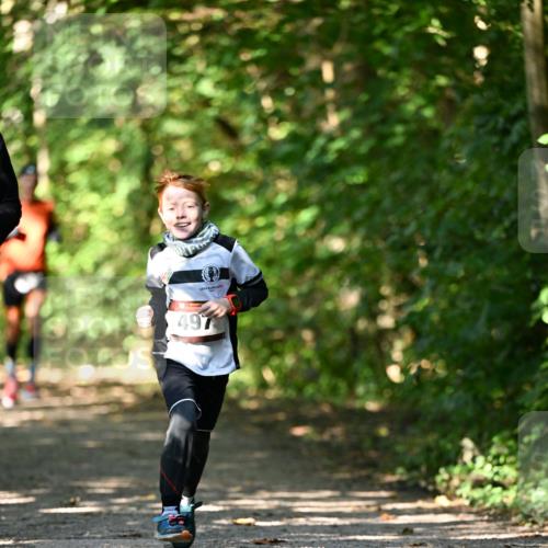 06.10.2024 - Bramfelder Halbmarathon 2024 Dr. Thomas Lammeyer http://msf.ph/oto/7340922 06.10.2024 10:47:00 Laufen 2016, 497 meine-sportfotos.de