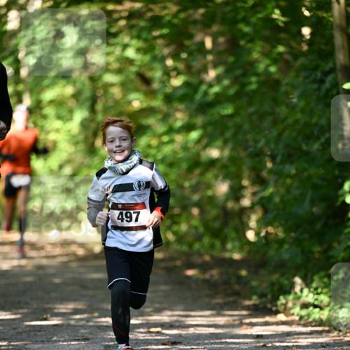 06.10.2024 - Bramfelder Halbmarathon 2024 Dr. Thomas Lammeyer http://msf.ph/oto/7340923 06.10.2024 10:47:00 Laufen 497 meine-sportfotos.de
