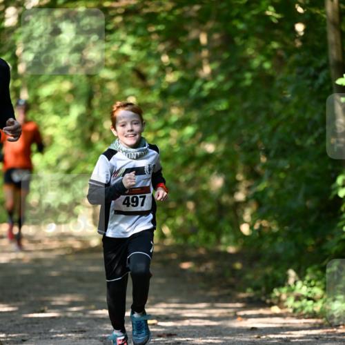 06.10.2024 - Bramfelder Halbmarathon 2024 Dr. Thomas Lammeyer http://msf.ph/oto/7340924 06.10.2024 10:47:01 Laufen 497 meine-sportfotos.de