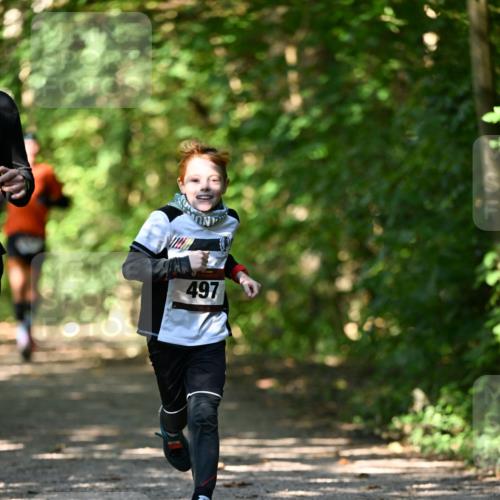 06.10.2024 - Bramfelder Halbmarathon 2024 Dr. Thomas Lammeyer http://msf.ph/oto/7340925 06.10.2024 10:47:01 Laufen 497 meine-sportfotos.de